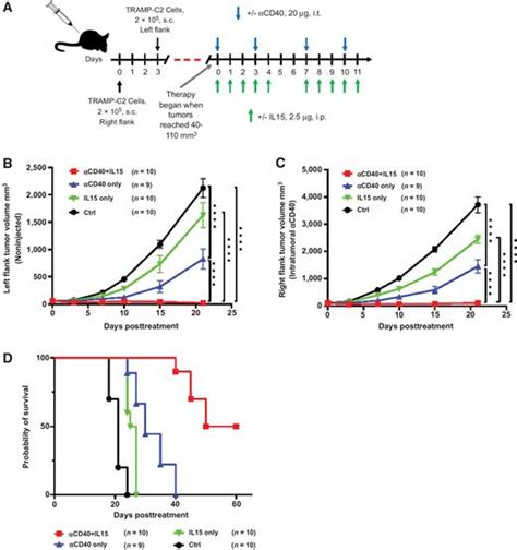 Il15 And Antipd 1 Augment The Efficacy Of Agonistic Intratumoral Anti