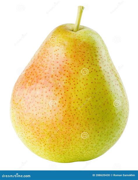 Red Yellow Pear Fruit Isolated On White Stock Photo Image Of Color