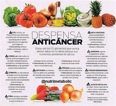 Alimentos Que Nos Pueden Ayudar A Prevenir El Cancer