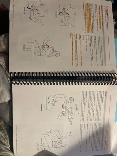 Lab Practical ELBOW COMPLEX Flashcards Quizlet