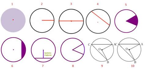 10 Unsur Unsur Lingkaran Beserta Bagian Bagian Dan Gambarnya