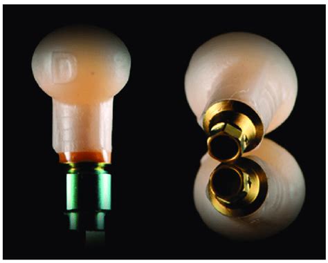 Titanium-base abutments after the bonding procedure. | Download ...