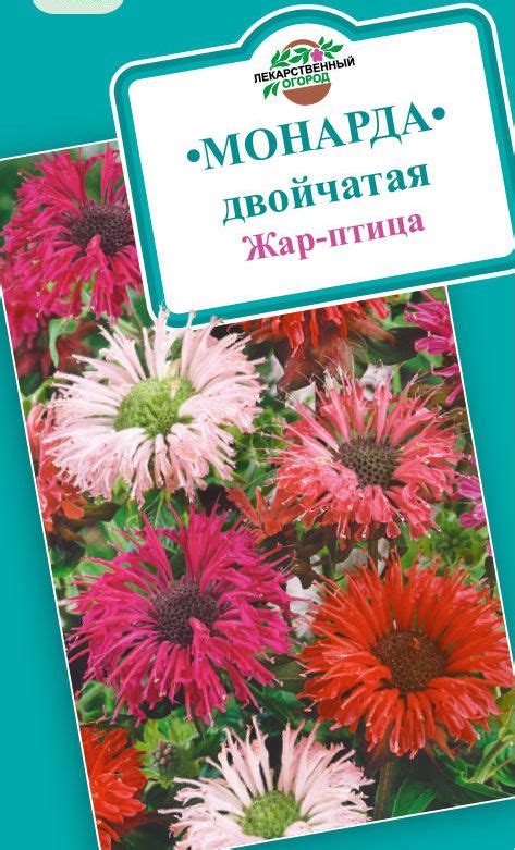 Купить семена монарды - низкие цены, оперативная доставка по России