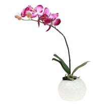 Floristik21 de Künstliche Orchideen im Topf Phalaenopsis Kunstblumen