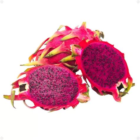 Muda De Pitaya Vermelha Enraizada Orgânica Para Vaso Parcelamento sem