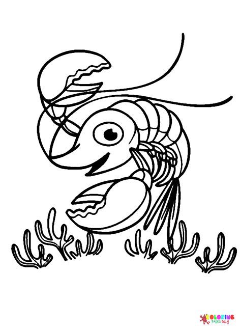 Tiny Shrimp Coloring Page Free Printable Coloring Pages