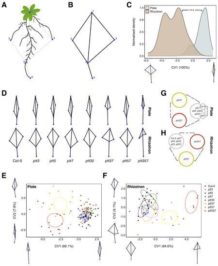 Genes Free Full Text Nature And Nurture Genotype Dependent