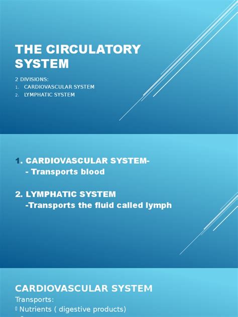 The Circulatory System 2 Divisions Cardiovascular System Lymphatic