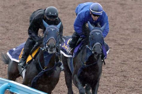 【ジャパンc】ユーバーレーベンは美浦wでラスト1f11秒8 手塚師「バリバリ調教しています」 サンスポzbat