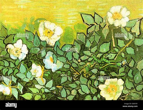 Vincent Van Gogh Wild Roses 1890 Post Impressionism Oil On Canvas