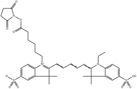 H Indolium Dioxo Pyrrolidinyl Oxy Oxohexyl