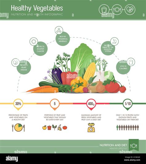 Healthy Eating Infographic With Vegetables Composition Nutrition