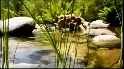 Yasmine French Beurette Ass Fucked Outdor