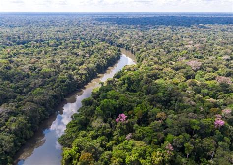 Desenvolvimento Ambiental Sedam E Ifro Ofertam Dois Novos Cursos De