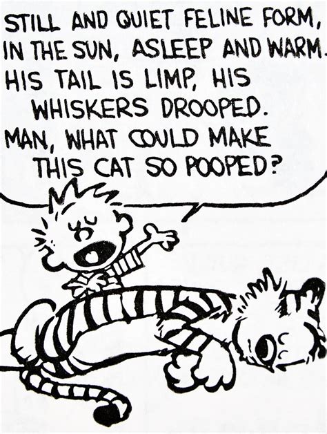 Calvin And Hobbes Quote Of The Day Da Still And Quiet Feline Form In The Sun Asleep A