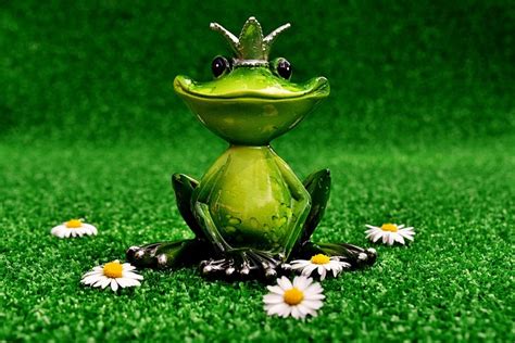 Frog Figure Prince Free Photo On Pixabay Pixabay