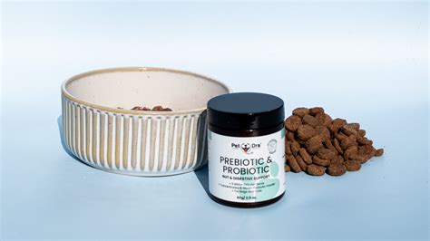 Unleashing the Benefits: Prebiotics and Probiotics for Pets – Pet Drs