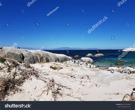 Garden Route Cape Town South Africa Stock Photo 1878210838 | Shutterstock