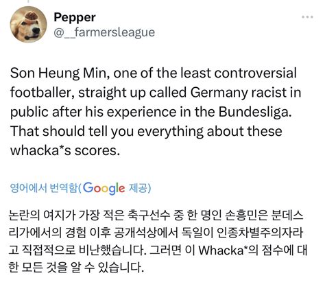 오늘자 김민재 평점에 현지 반응  포텐 터짐 최신순 에펨코리아