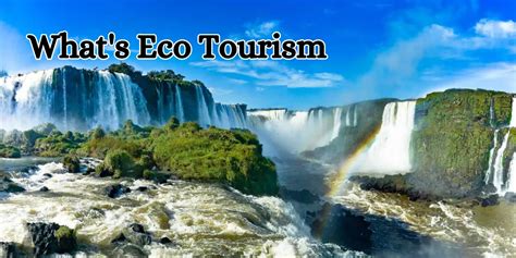 What's Eco Tourism