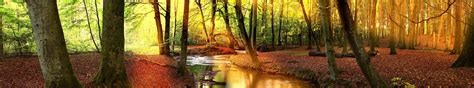 Dual Monitor Autumn Wallpapers - Wallpaper Cave