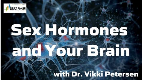 Sex Hormones And Your Brain Youtube