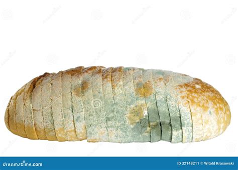 Mouldy Bread Stock Photo | CartoonDealer.com #34017012