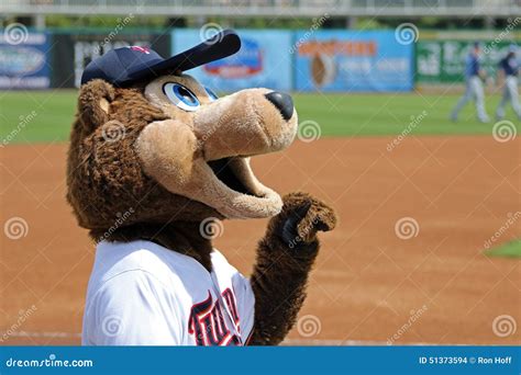 TC - the Mascot of the Minnesota Twins Editorial Stock Image - Image of ...