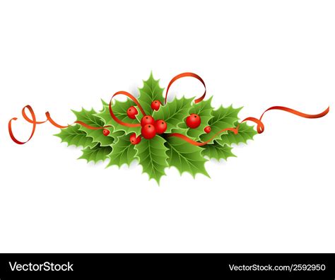 Christmas holly Royalty Free Vector Image - VectorStock