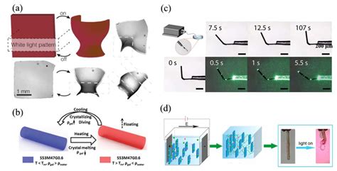 Thermo Responsive And Shape Adaptive Hydrogel Actuators From