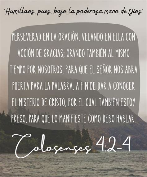 Pin By Ignacio Carriel On Oraciones En La Biblia