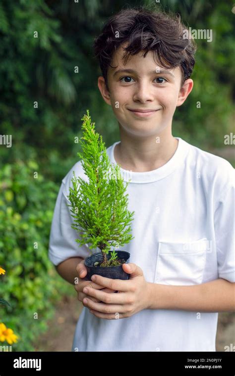 A Boy Holding A Small Tree Sapling In A Pot Standing In A Garden Stock