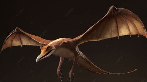 Fondo Raptor Renderizado Volando Con Sus Alas Extendidas Fondo Fotos