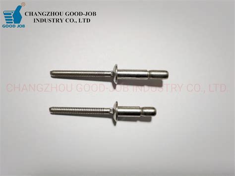 Stainless Steel Inlock Structure Rivets Dome Head Like Magnalock