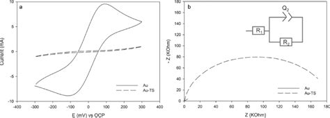 A Cyclic Voltammograms And B Nyquist Plots For Bare Solid Line Download Scientific