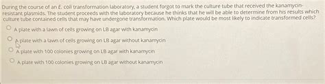 Solved During the course of an E. ﻿coli transformation | Chegg.com