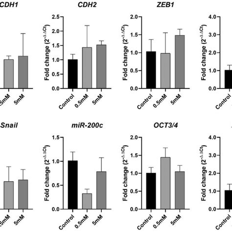 B16 F10 MRNA Expression B16 F10 Cell Line MRNA Expression Of