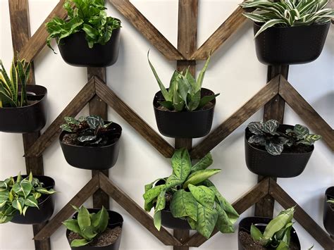 Memberships — Wooster Works