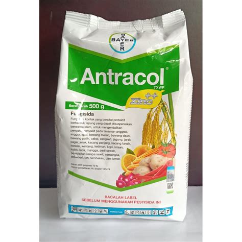 Jual FUNGISIDA ANTRACOL 70WP 500GR | Shopee Indonesia