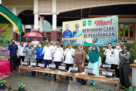 Media Center Launching Gerakan Tanam Cabai Di Inhil Gubri Upaya