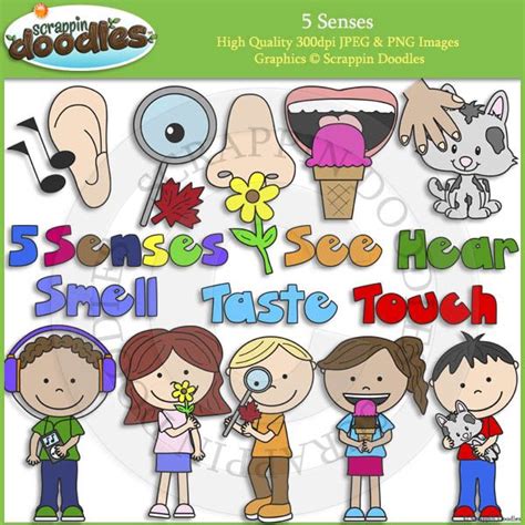 5 Senses Clip Art