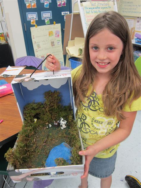 Mrs. Pacciano's Post: Look at these Habitat Dioramas