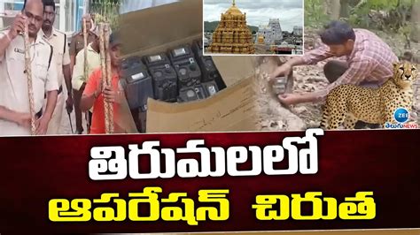 Operation Leopard Tirumala Tirupati Ap News తరమలల ఆపరషన