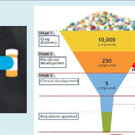 Stages Of Drug Discovery