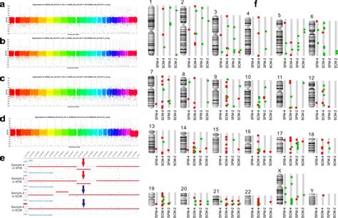 Array Based Comparative Genomic Hybridization Analysis Of Human