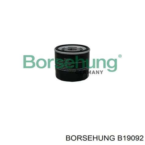 B19092 BORSEHUNG filtro de aceite