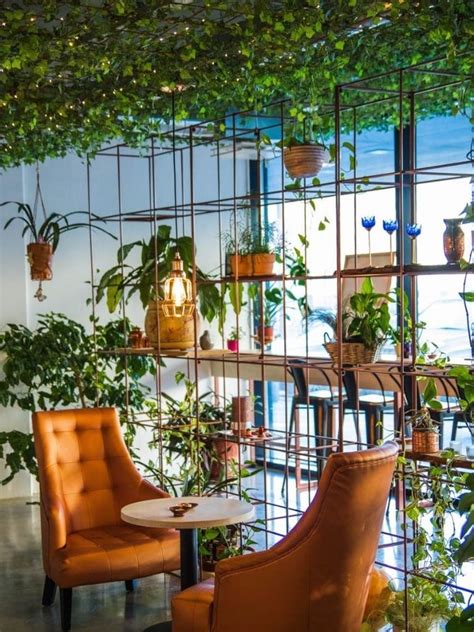 Top 4 Restaurants With Beautiful and Aesthetic Greenery Ambience