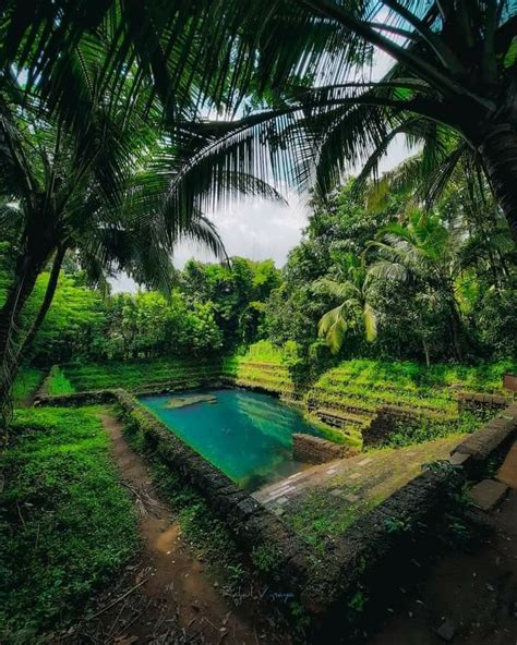 Beautiful Kerala Pond Beautiful Places Nature Beautiful Landscapes