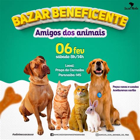 Influenciadora Digital Organiza Bazar Beneficente Em Prol Aos Animais