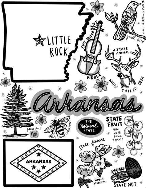 Arkansas Coloring Page Etsy